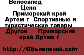 Велосипед Viva Castle › Цена ­ 14 000 - Приморский край, Артем г. Спортивные и туристические товары » Другое   . Приморский край,Артем г.